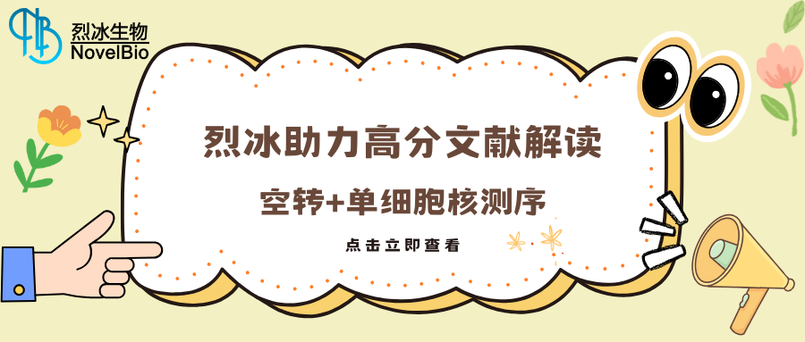 【烈冰助力】空转+单细胞核测序助力  “肌内脂肪生成机制”探索
