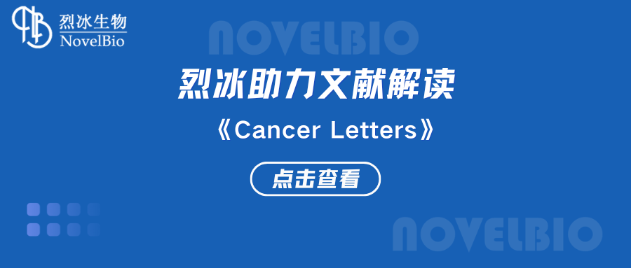 【烈冰助力】单细胞RNA-seq揭示了转移性肾细胞癌的异质性和抗血管生成治疗在胰腺转移性病变中的作用