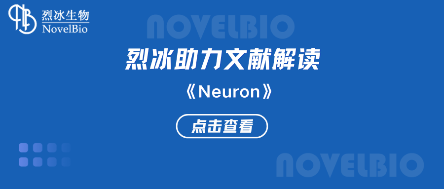 【烈冰助力】肿瘤-神经交界处的钾离子通道增强癫痫胶质母细胞瘤的神经元兴奋性