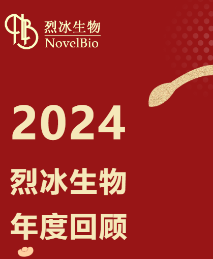 2024Mksport体育年度回顾