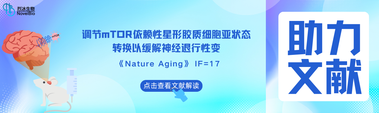烈冰助力 | Nature Aging（IF = 17） 调控mTOR依赖的星形胶质细胞亚状态转变可缓解神经退行性变