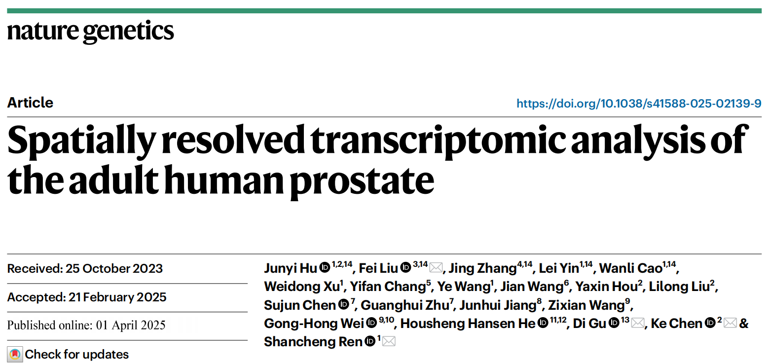 烈冰助力|《Nature Genetics》:成人前列腺空间分辨转录组分析